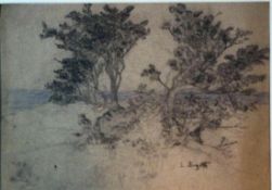 Douzette, Louis, Am Bodden, Bleistift, sign., 21 x 29
