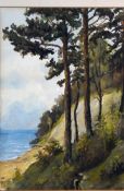 Bamberg, Katharina, Hiddensee, Aqua., monogr. (HKB), 24 x 17