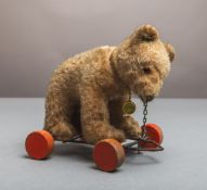 Teddybär auf Rädern (Hermann, wohl 1950er J.)