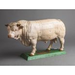 Metzger-Lehrmodell "Zerlegeschema eines Rindes" (wohl 60/70er J.)