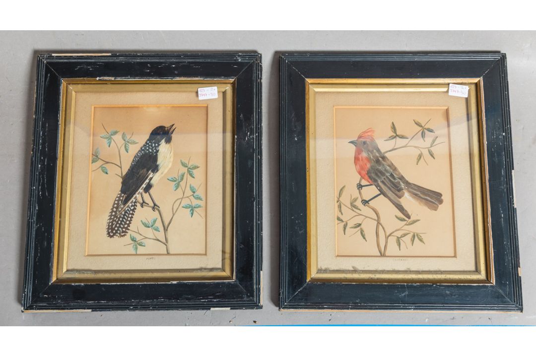 2 Darstellungen von Vögeln (wohl um 1900) - Bild 1 aus 2