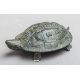 Schildkröte (wohl Thailand) - Bild 1 aus 2
