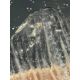 Deckenlampe "Star Ice" (wohl Kalmar, 60/70er J.) - Bild 7 aus 7