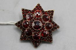 Granat Stern Brosche 