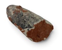 FOSSIL OVIRAPTOR EGG