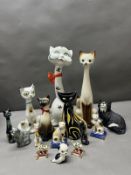 A collection of long neck tall cats and others