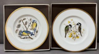 Two boxed Boeing bird plates. Coal tits and blue tits.