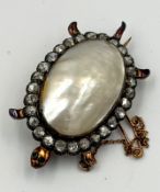 An antique tortoise brooch with marbe pearl body set in 18ct gold, the body is surrounded by rose