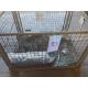 1x Stillage of British Army Tent Pegs etc - Image 5 of 5