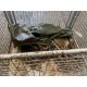 Stillage of Steel HD Tent Pegs, from MOD - Image 6 of 6