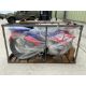 2025 New Unused Apollo Thunder 250CC Off Road Trail Bike - Image 2 of 7