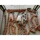 20x Recovery Chains and HD Trailer / Tractor Pins, from MOD - Image 1 of 3