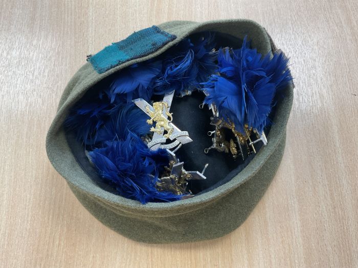 50x British Army Hat Badges / Hat Plumes etc, from MOD