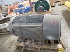 Industrial Electric Motor