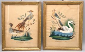 2 antike Federbilder, Mitte 19. Jahrhundert, "Paradiesvogel" und "Türkische Ente"/"Papagei" und "Sc