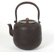 TETSUBIN/ WASSERKESSEL, Japan, Meiji-Epoche oder früher,