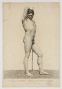 Forster, François, 