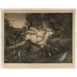 Vernet, H. Mazeppa