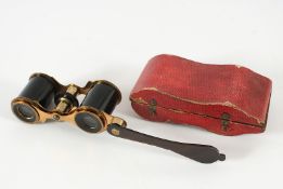 Opernglas, in Etui