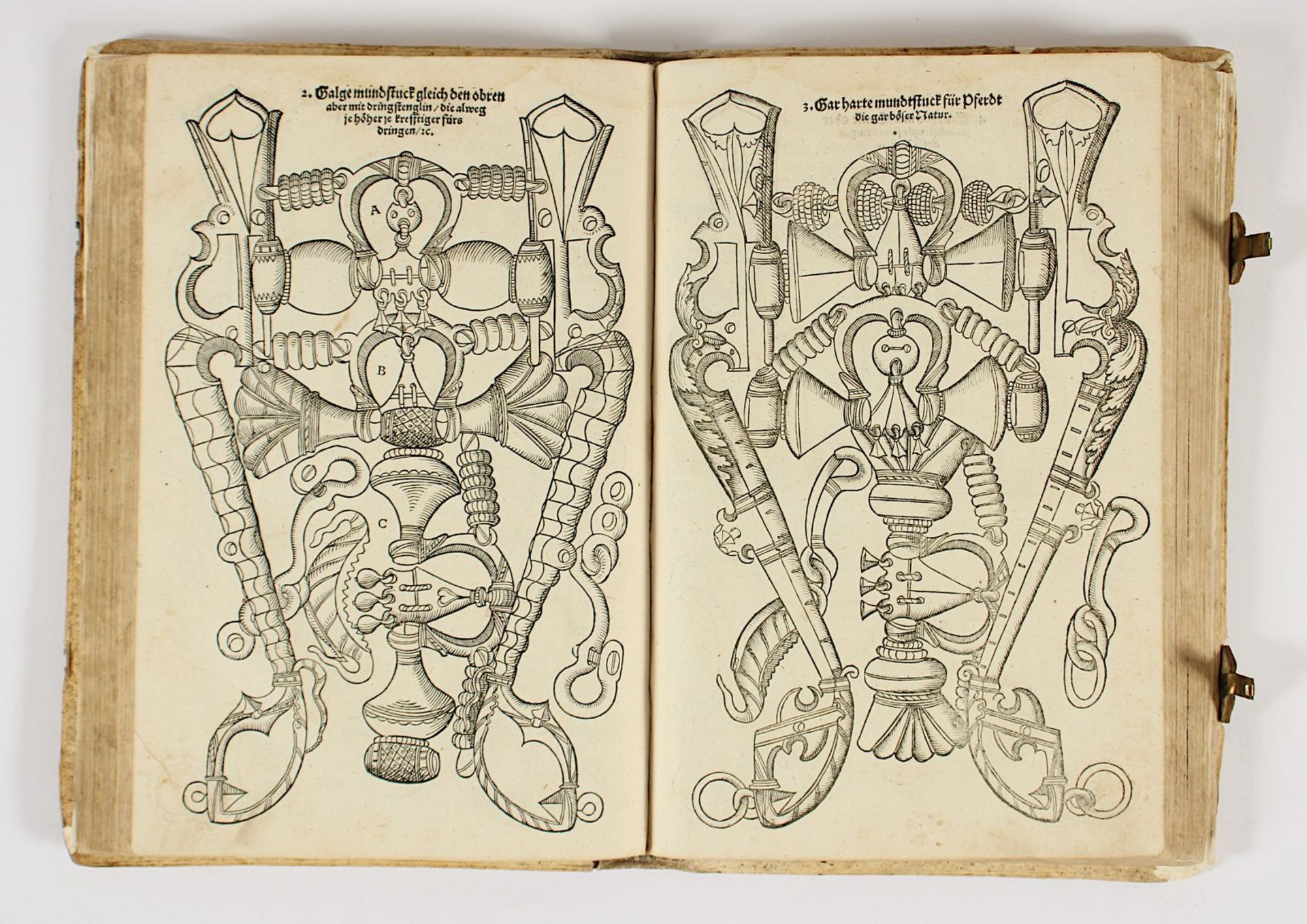 Nachlass Gabriela Grillo, Buch zur Reitkunst, Augsburg, 1570 - Bild 4 aus 10