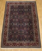 Teppich Kaschmir, 300 x 195