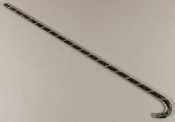 Spazierstock, Böhmen, um 1900