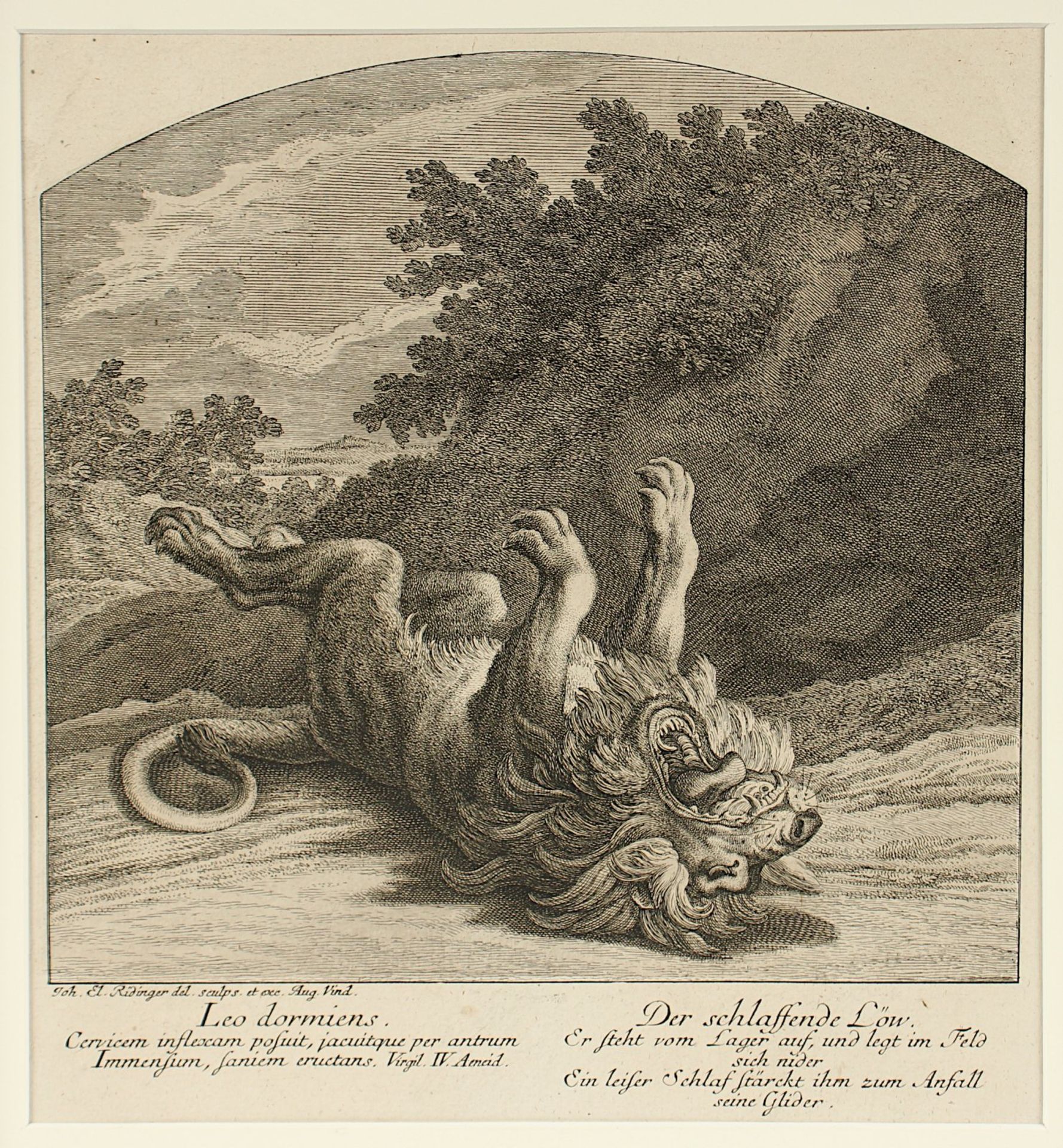 Ridinger, "Löwe", R., Nachlass Grillo - Bild 2 aus 2