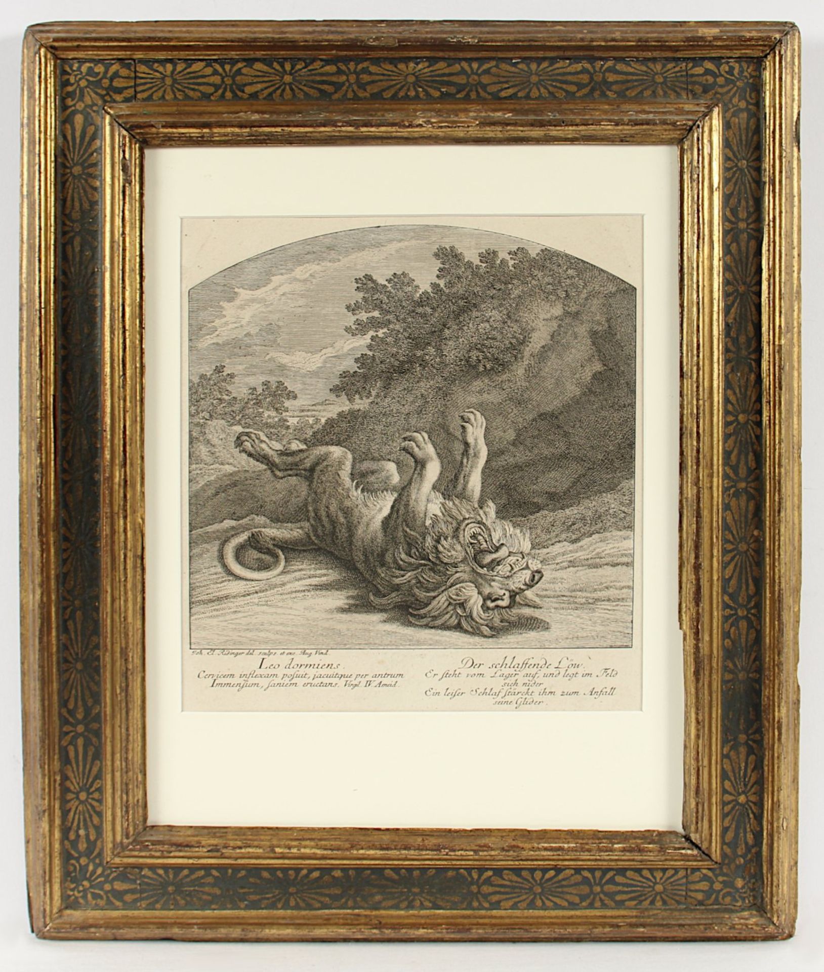 Ridinger, "Löwe", R., Nachlass Grillo