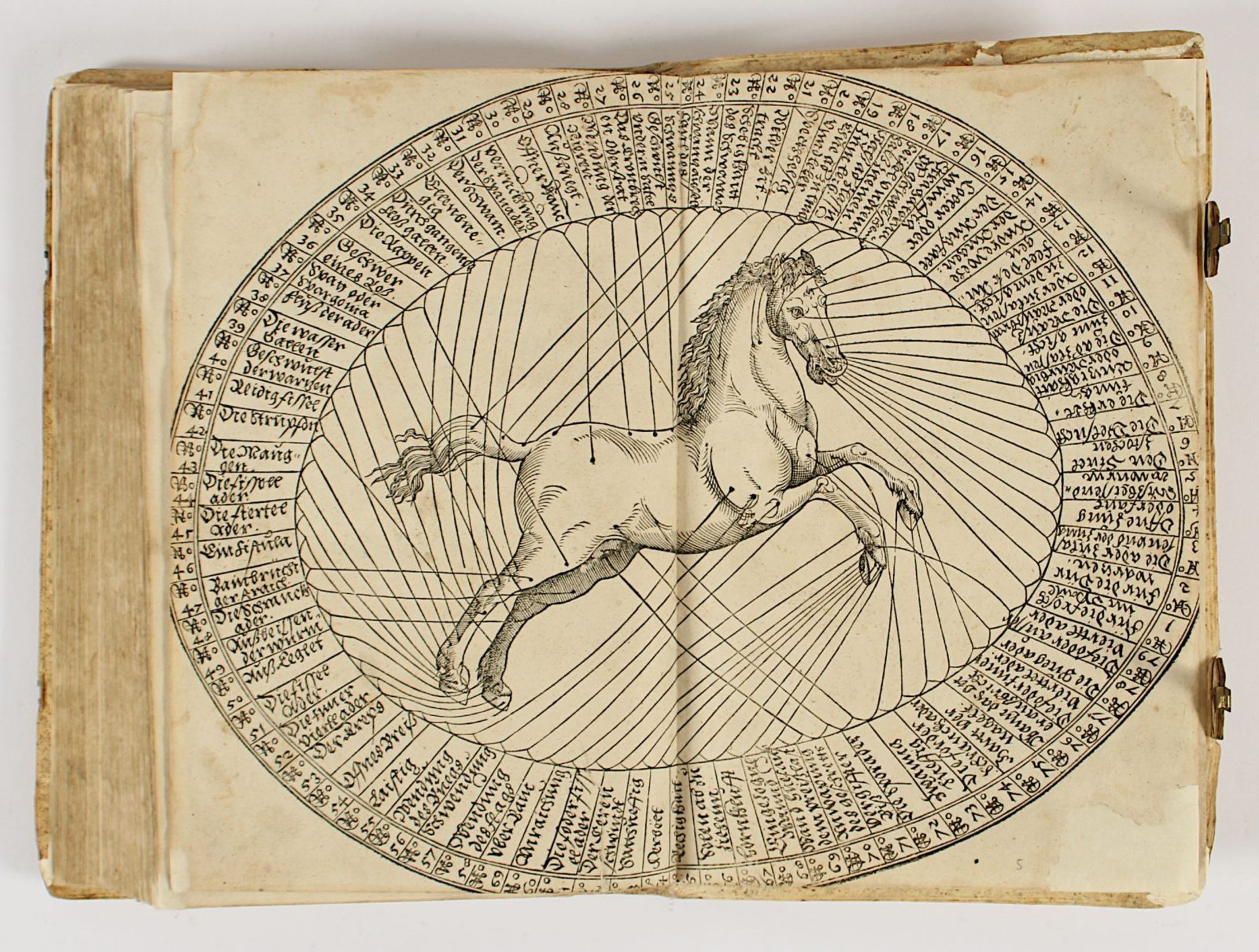 Nachlass Gabriela Grillo, Buch zur Reitkunst, Augsburg, 1570 - Bild 9 aus 10