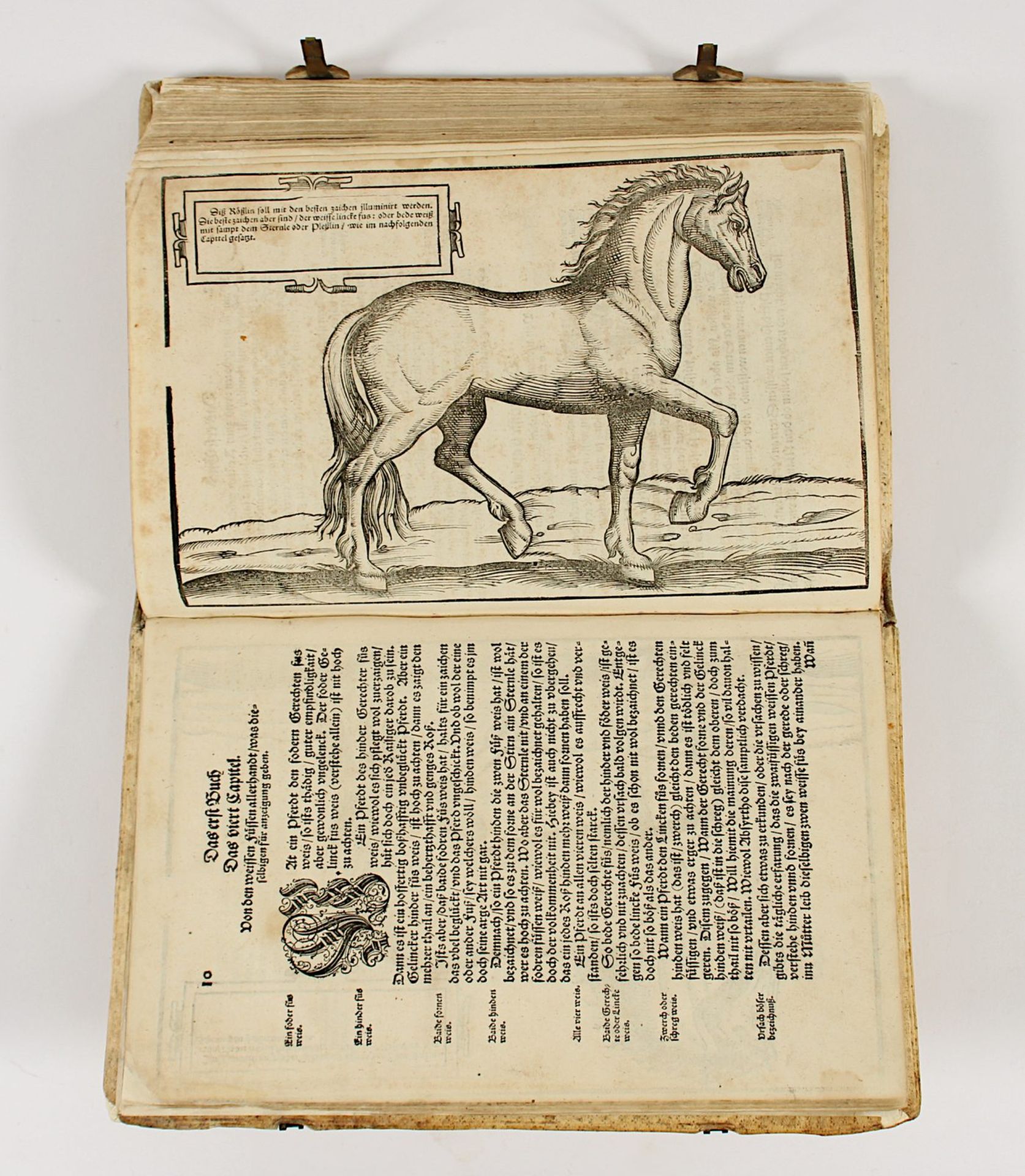 Nachlass Gabriela Grillo, Buch zur Reitkunst, Augsburg, 1570 - Bild 2 aus 10