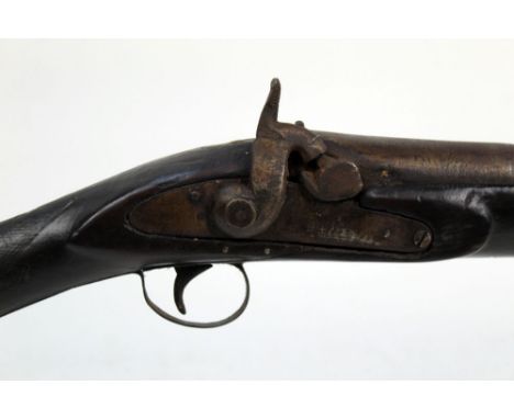 A percussion single barrelled gun, having a 32" barrel, plain lock and hammer, the stock fitted with a patch box.  Overall le