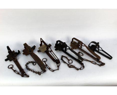 Six vintage gin traps, to include a Glovers Humane trap