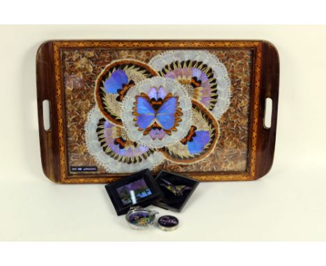 Taxidermy - Edwardian butterfly wing tray, marked Rio de Janeiro, 39.5 x 63 cm, together with two butterfly wing pictures, an