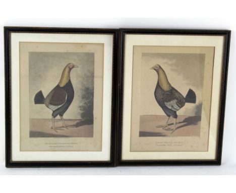 Two mid 19th century engravings of cock fighting interest, painted by F Marshall engraved by R.G. Reeve, published March 20th