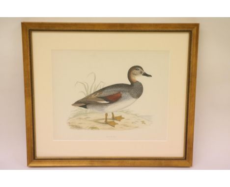 Fine Hand Coloured Prints&nbsp;Morris (B.R.)&nbsp;British Game Birds,&nbsp; a set of 6 large hand coloured prints, London c. 