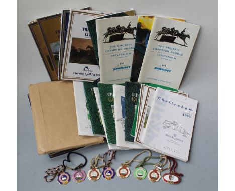 A QUANTITY OF 'STRATFORD ON AVON' RACECOURSE ENAMEL PASSES, dated 1991, 1995 (x3), 1996 (x3) and 1998 and a Great Yarmouth ra