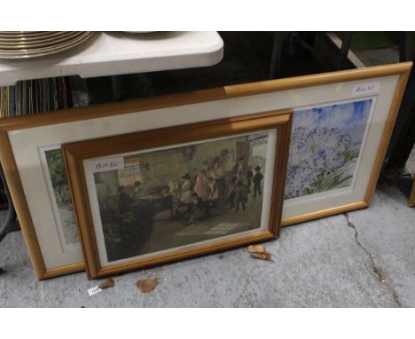 A FRAMED WATERCOLOUR TITLED "PERTHERESSA MEMORIES" DEPICTING AGAPANTHUS FLOWERS POSSIBLY BY STEPHEN MORRIS TOGETHER WITH A FR
