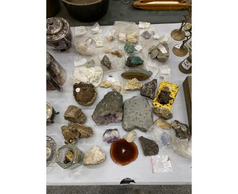 A LARGE COLLECTION OF CRYSTALS AND FOSSILS TO INCLUDE AMETHYST, FOSSILISED BARK, CRYSTAL QUARTZ, MALACHITE, BLUE JOHN AMETHYS