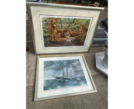 A FRAMED LIMITED EDITION PRINT OF ORANGUTANS AND A FRAMED PRINT OF A SHIP