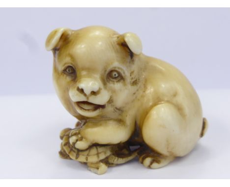 A Meiji Period Japanese Ivory Netsuke, of a puppy stood with his paw on a turtle, character marks to puppy's haunches, approx