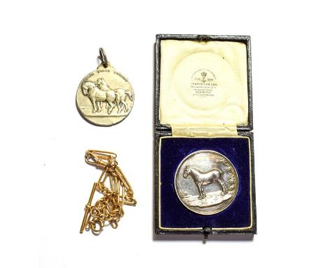 A 15ct gold single Albert pocket watch chain with wide links, 24.9 grams, together with a cased silver equestrian medal, Birm