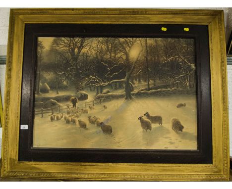 LARGE PRINT OF SHEEP
