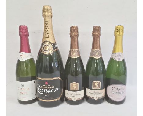 Five bottles of sparkling wine to include two bottles of South African Pieter Cruythofs Brut, magnum of Depuis champagne Lans