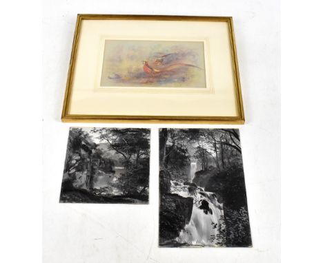 JAMES STINTON (1870-1961); watercolour, pheasants in landscape, signed, 12.5 x 21.5cm, framed and glazed, together with two A