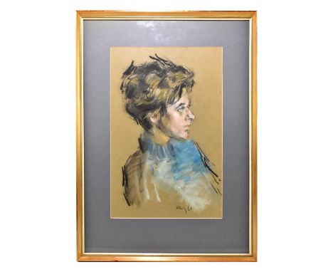 HAROLD FRANCIS RILEY BL.D. Litt. FRCS (Hon) DFA ATC (born 1943); pastel, portrait of a lady in a blue jumper, signed and date