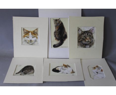 MARY R. TURNER.  A set of six various cat studies, all signed or initialled, watercolours, unframed, smallest 10 x 8 cm, larg