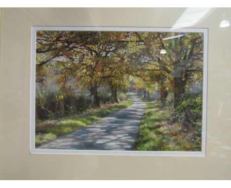 PETER BARKER "Dappled Light" pastel, 27cm x 39cm