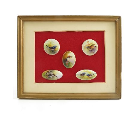 Five Royal Worcester porcelain plaques, two circular, three oval, all painted with Australian birds, Blue Robin, Kookaburra o