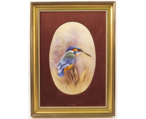 A Clermont Fine China porcelain oval plaque, decorated with a Kingfisher by R L Poole, maximum diameter 14ins, framed