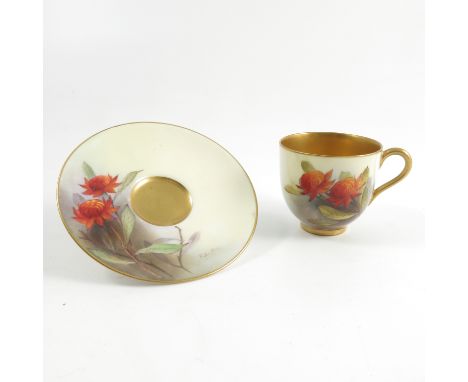 A Royal Worcester cabinet cup and saucer, decorated with the Australian Waratah plant by R Austin, the cup with gilt interior